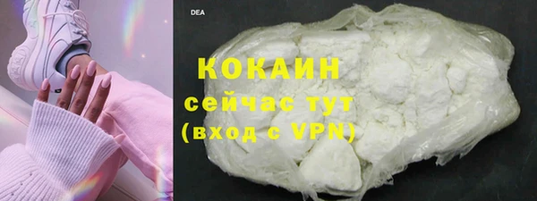 эйфоретик Няндома