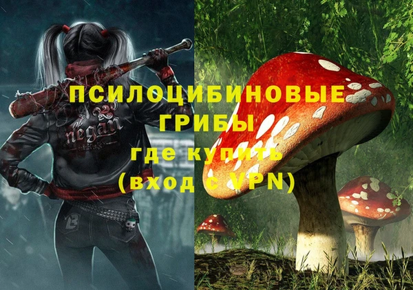 мескалин Абаза